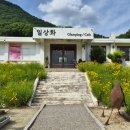 보은 대형카페 샤스타데이지 명소 일상화카페 아기랑 내돈내산 후기