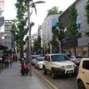 가로수길 이미지