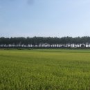 공현진해변 이미지