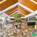 알프스퍼블릭 이미지