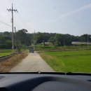 죽전농장 이미지