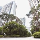 미사에이스부동산공인중개사사무소 이미지