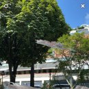 가리봉비디오 이미지