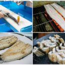 영천민물장어 이미지