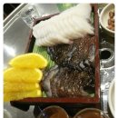 스쿠버다이버의집 이미지