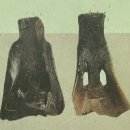 하남가축인공수정소 | [중국교과서 번역 2] 7학년 상권 제2과