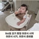 하이소아청소년과 | 166일차 초기 토핑 이유식 시작 | 초기이유식 시기, 이유식 준비물