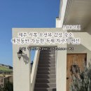 월령소라스테이 이미지