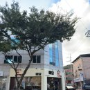 산호대로25길-1 이미지