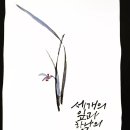 (주)삼엽 이미지