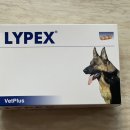 라이펙스 이미지