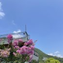 옥천밸리 이미지