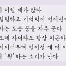 보영탕