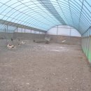 삼보농장 이미지