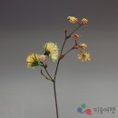 [전시]김영성 개인전: 無⦁生⦁物 展...&#34;생명과 물질의 경계에서&#34; 이미지