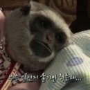 (주)이야기 이미지