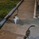 인하트풀빌라 이미지