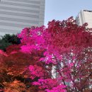팥빙수 포장~ 이미지