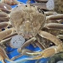 농수산물도매시장 이미지