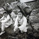 청학동 이미지
