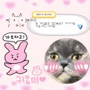따봉식당 | &#39; 전북 익산 / 돼지주물럭 , 김치찌개 현지인맛집 &#39; 따봉식당 솔직한후기