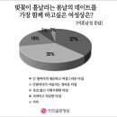 핑크결혼정보회사 이미지