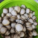 연아수산 이미지