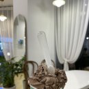 제이제이아이스크림