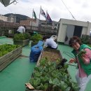 감천1동-6 이미지