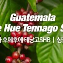 감탄커피 - 강남구 테헤란로 522 | 감탄커피