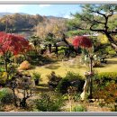 화가의정원 이미지