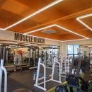 머슬비치짐 휘트니스 이미지