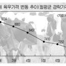 ‘갈길 잃은’ 육우산업 특단해법 절실 이미지