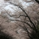 춘강장애인근로센터 이미지