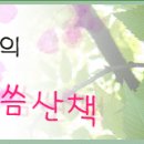 2018년 8월 30일 연중 제21주간 목요일 이미지