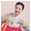 장미주단 이미지