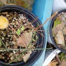 주야장창 이미지