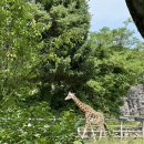 주차장매점 이미지