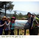 솔의향기 이미지