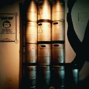 스킴(SKIM) 이미지