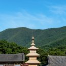 경남 밀양 표충사 삼층석탑 및 석등