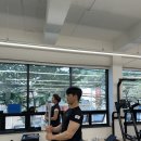 원데이피티 이미지