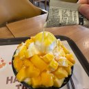 숙대 빙수 맛집 설빙 망고 치즈 빙수 후기. 가격과 칼로리 후기