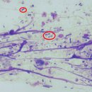 모두애동물병원 이미지