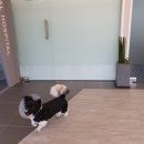 하임동물병원 이미지