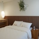 제주스테이 멀리 이미지