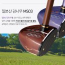 MS | 미즈노 파크골프채 MS03 비교 구매 후기 전주 골프샵