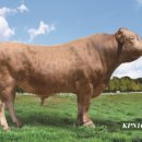 곡성농장 이미지