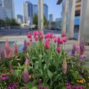 서소문파출소 이미지