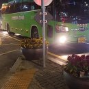 여주-1006 이미지